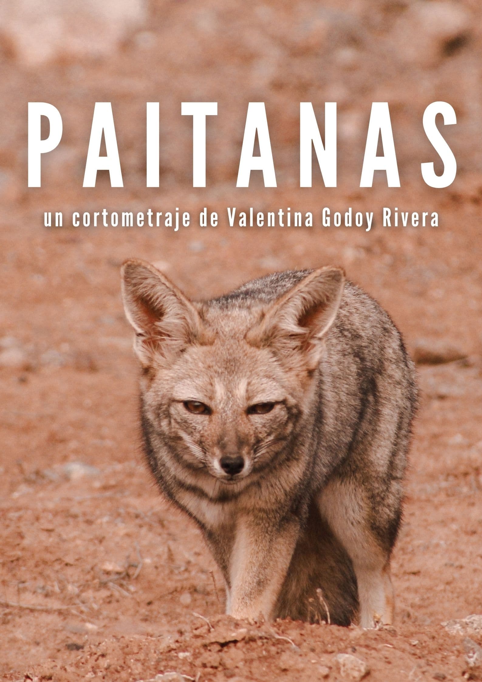 Paitanas | Paitanas