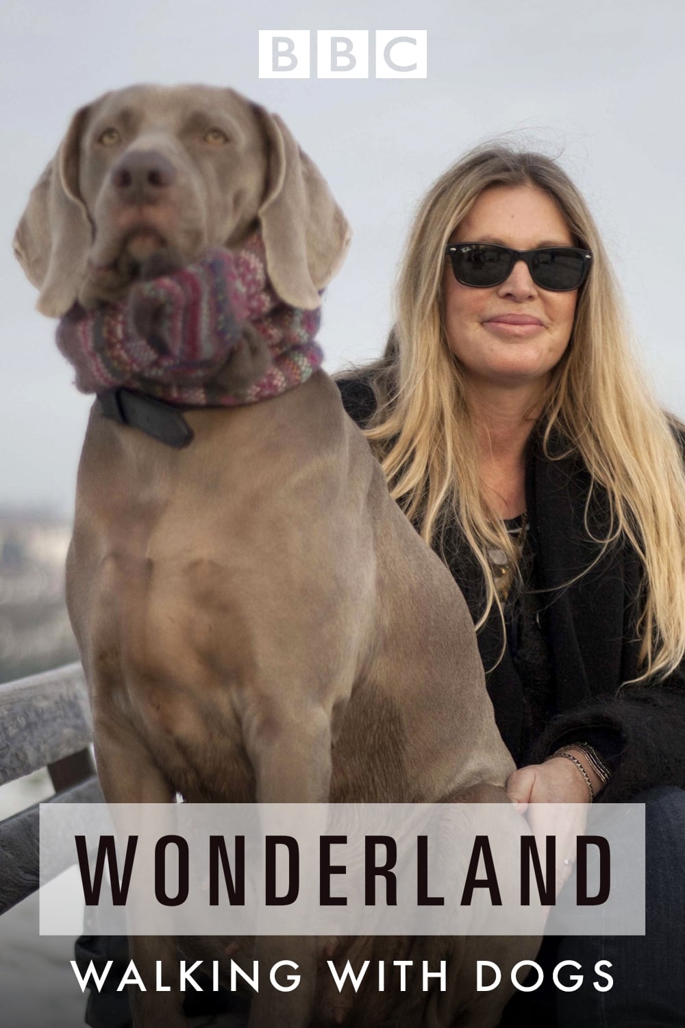 Walking with Dogs: A Wonderland Special | Walking with Dogs: A Wonderland Special