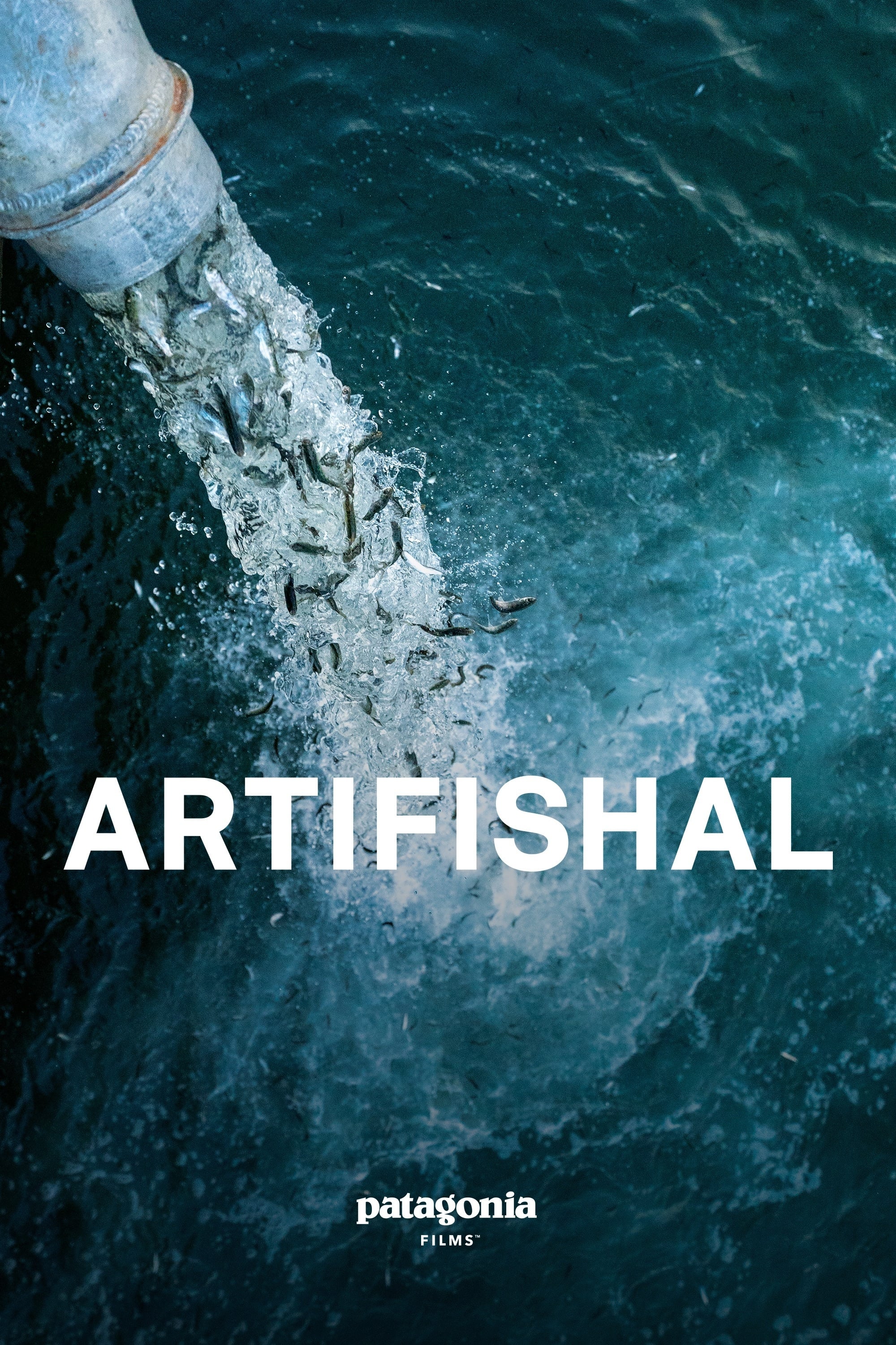 Artifishal | Artifishal