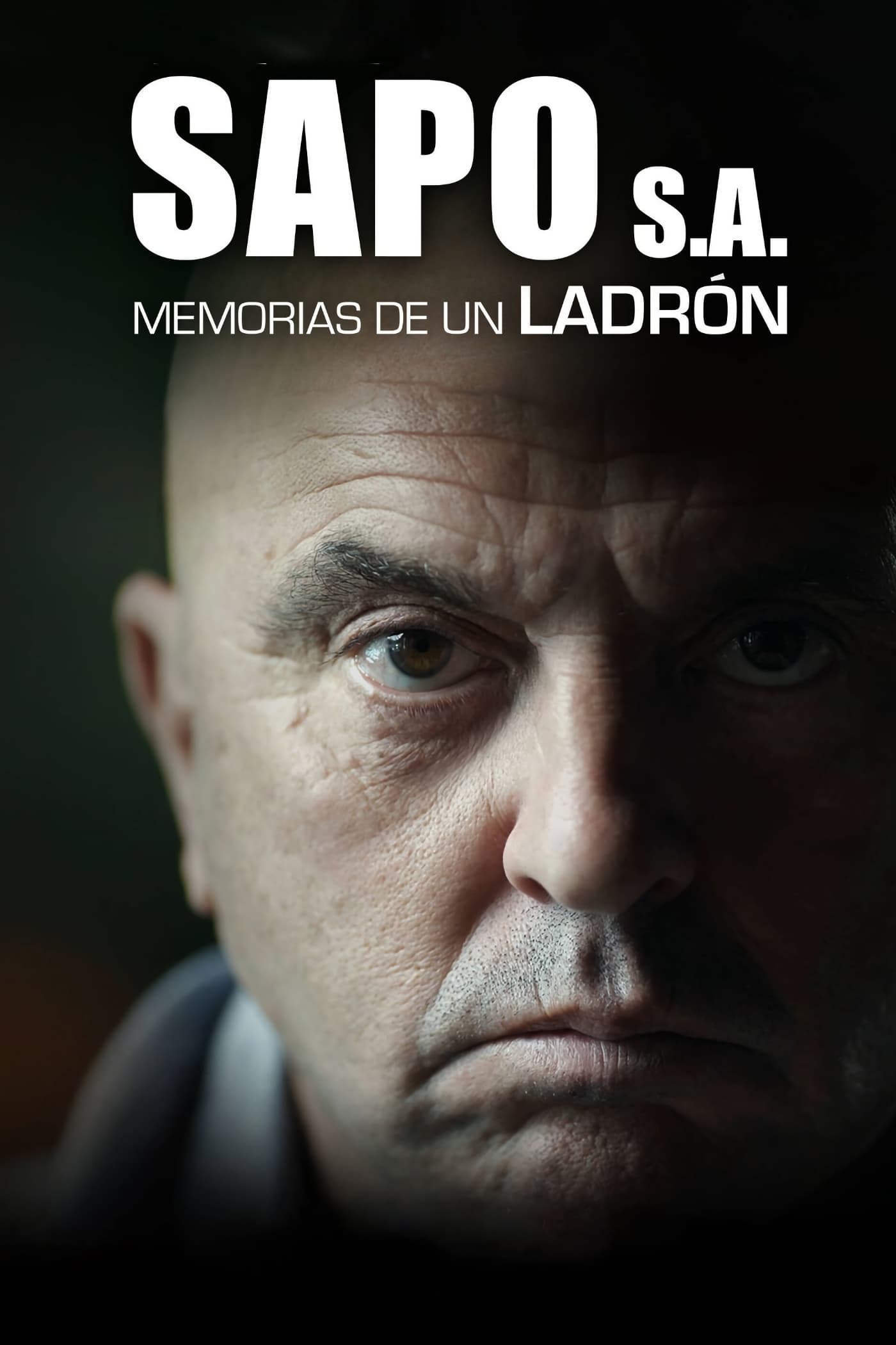 Sapo, S.A. Memorias de un ladrón | Sapo, S.A. Memorias de un ladrón