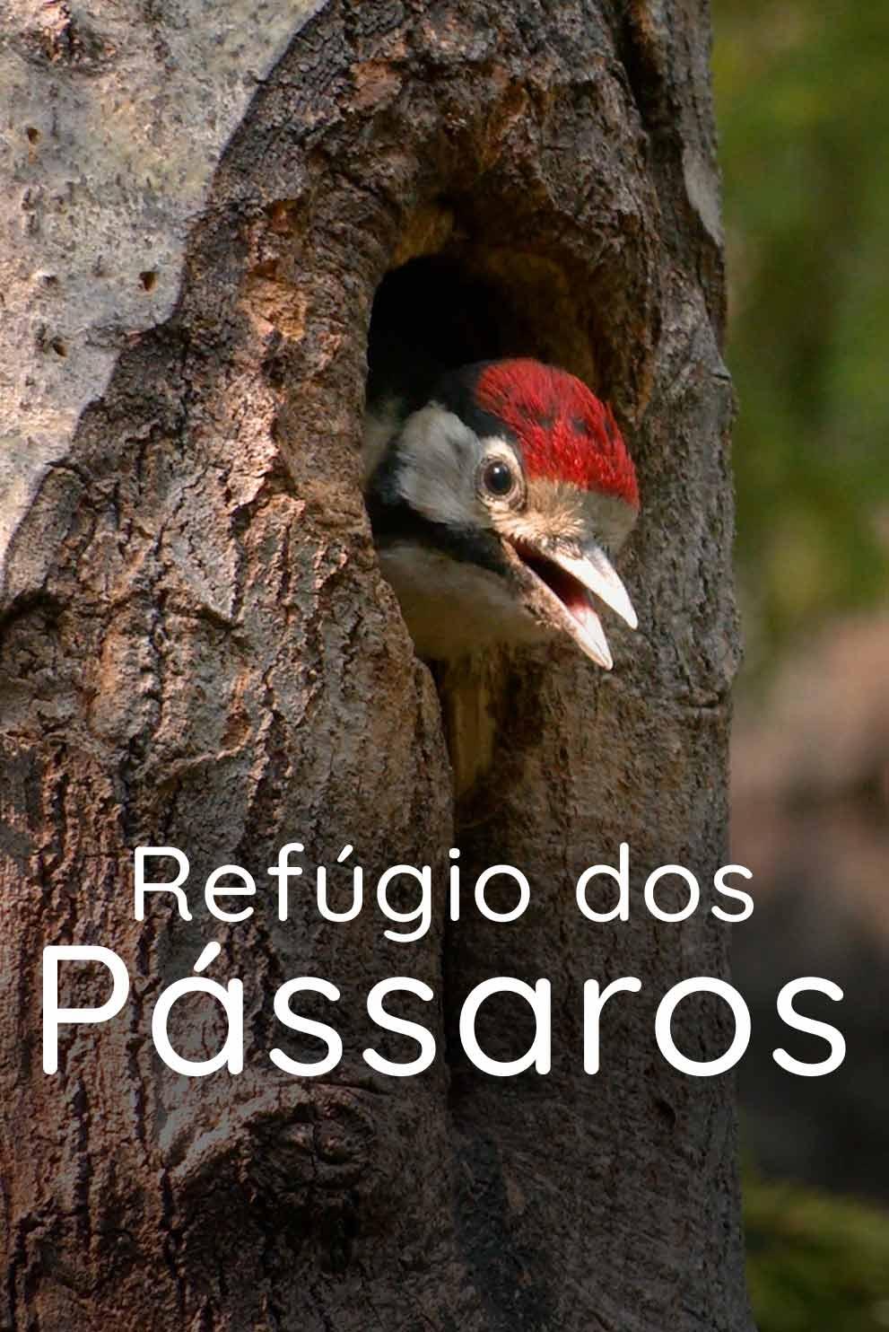 Refúgio dos Pássaros