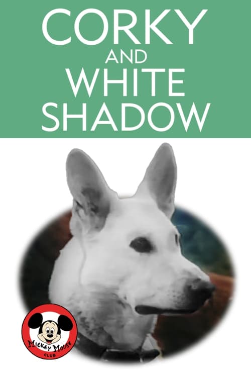 Corky and White Shadow | Corky and White Shadow