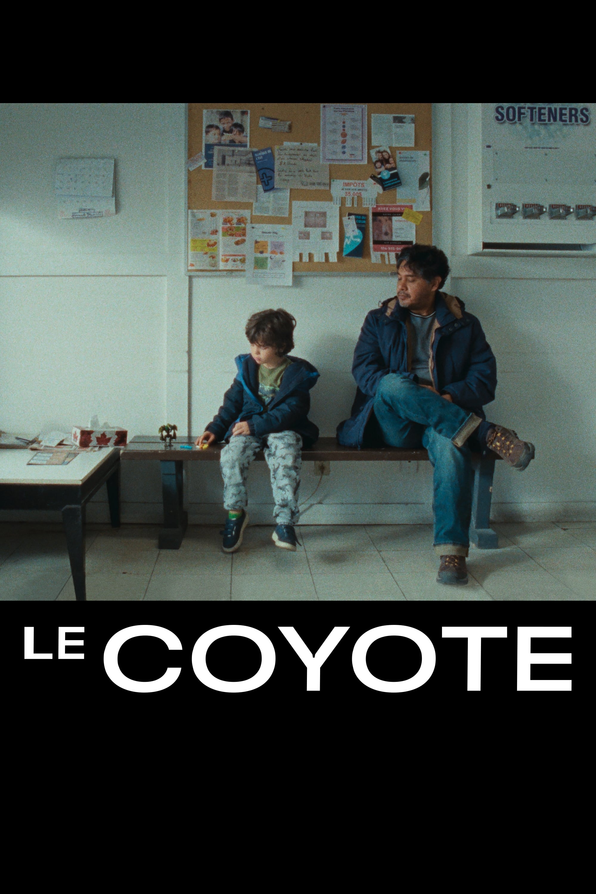 Le coyote | Le coyote