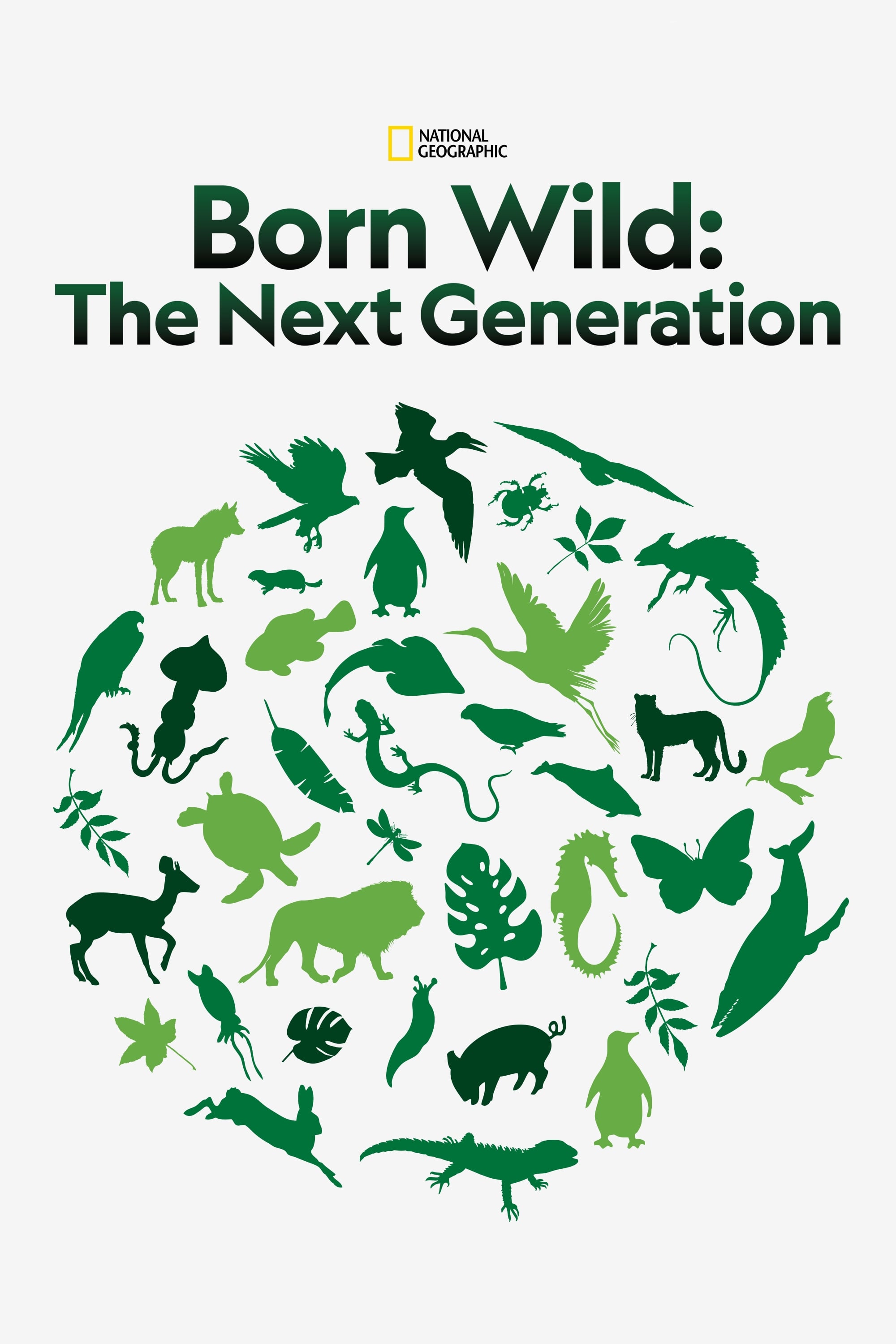 Born Wild: The Next Generation | Born Wild: The Next Generation