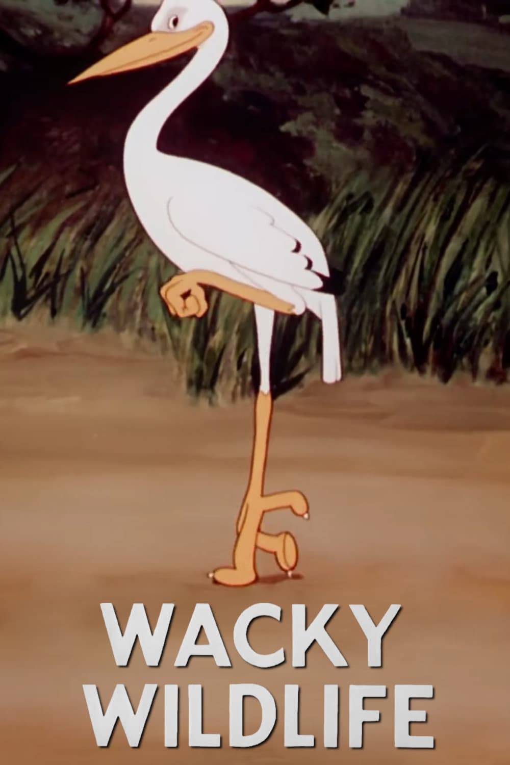 Wacky Wildlife | Wacky Wildlife