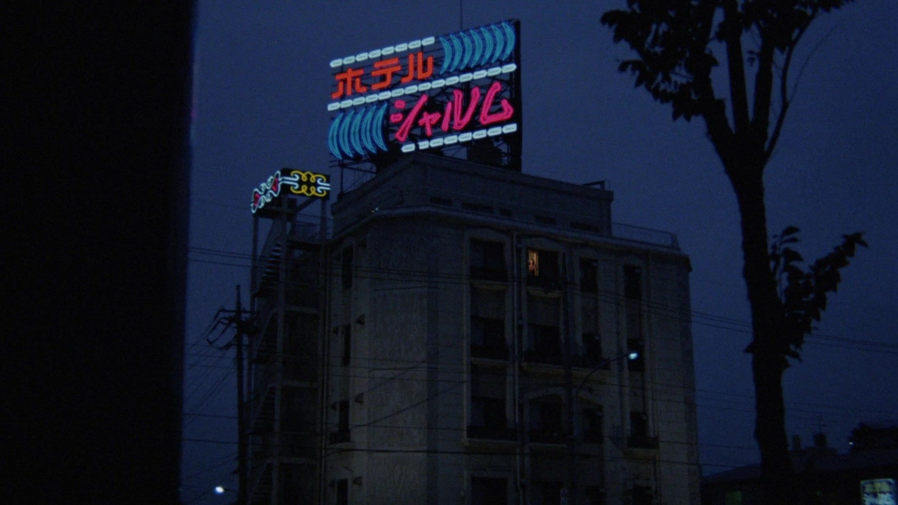 تصویر 2