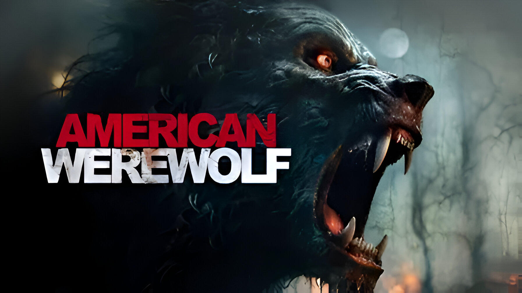 American Werewolf|American Werewolf