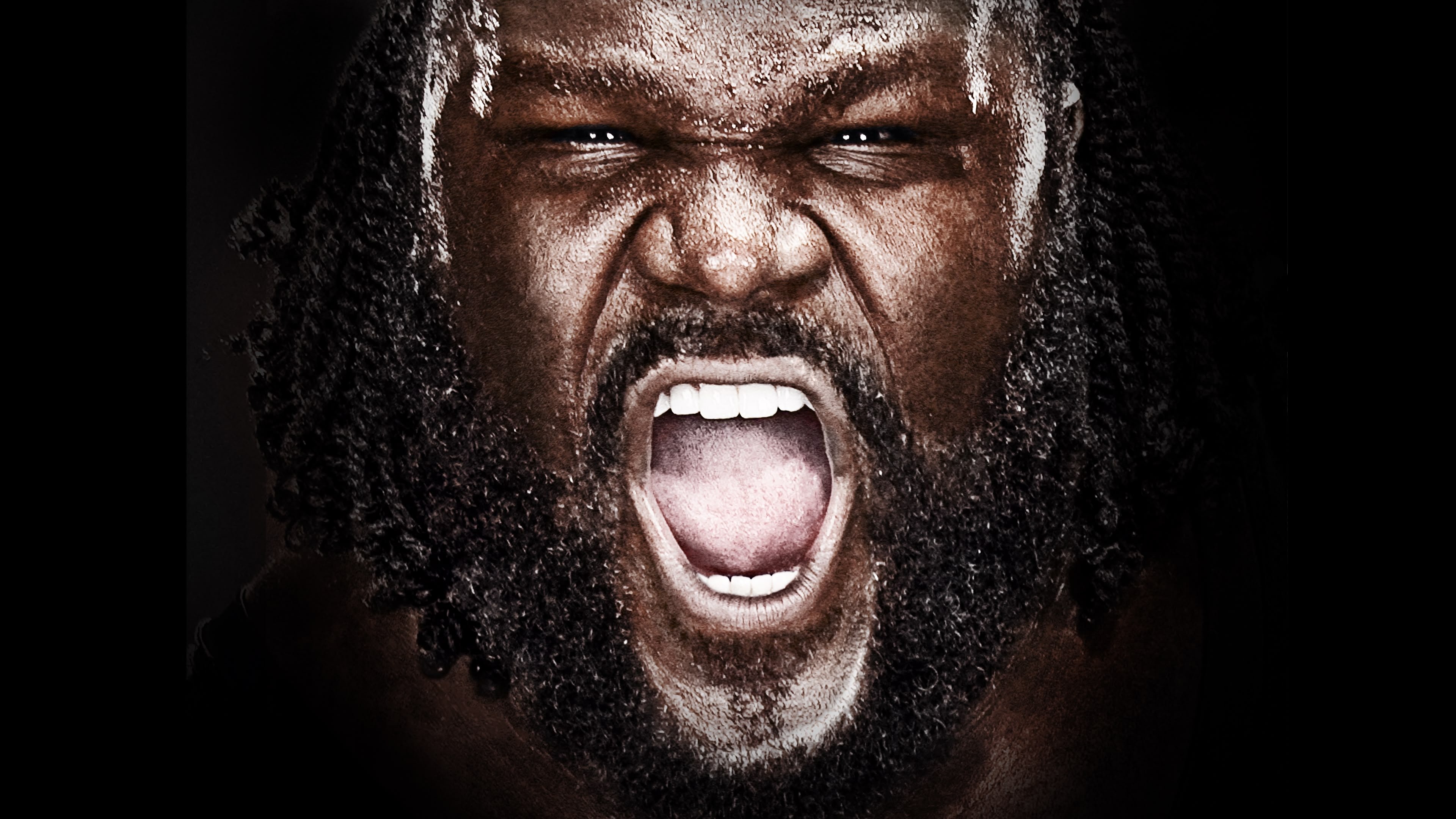 WWE Vengeance 2011|WWE Vengeance 2011