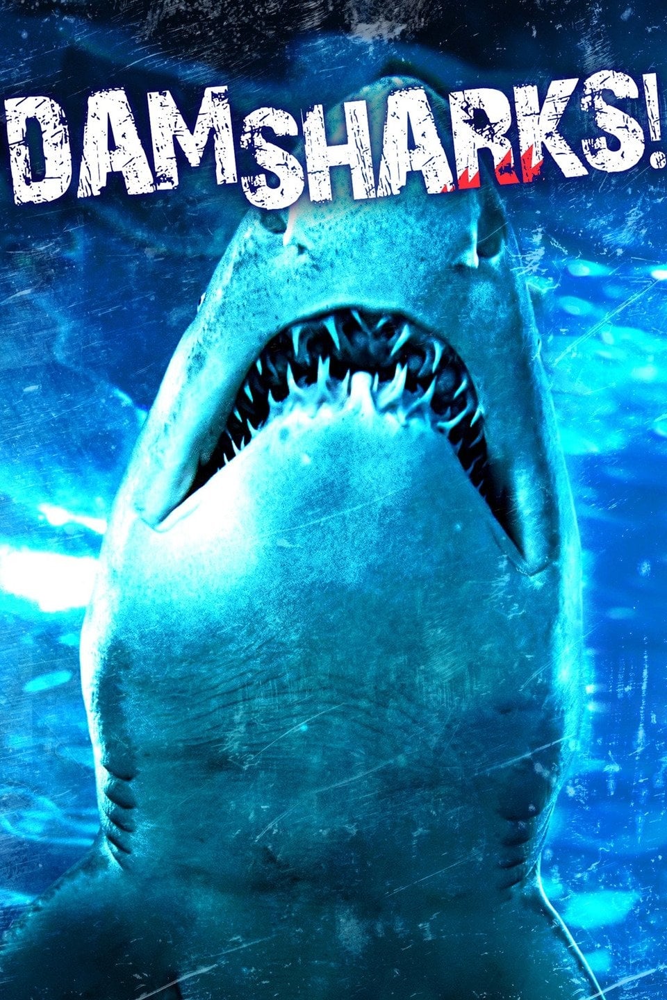 Dam Sharks! | Dam Sharks!