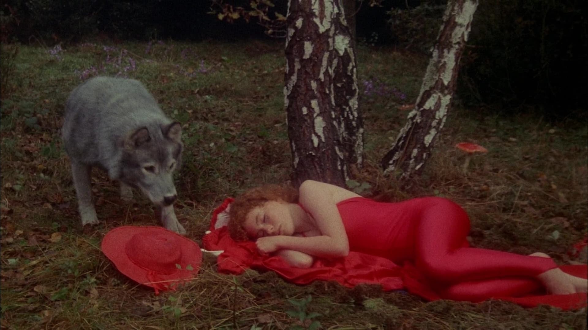 Bye bye chaperon rouge|Bye bye chaperon rouge