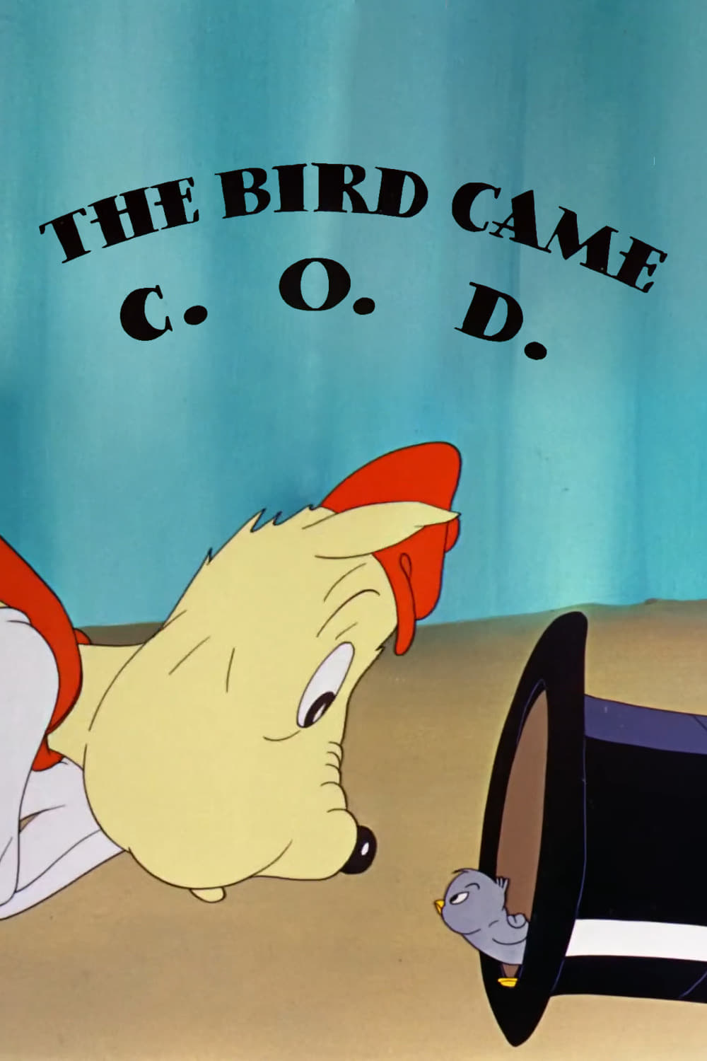 The Bird Came C.O.D. | The Bird Came C.O.D.