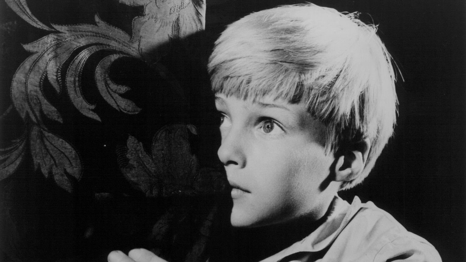 The Boy Cried Murder|The Boy Cried Murder
