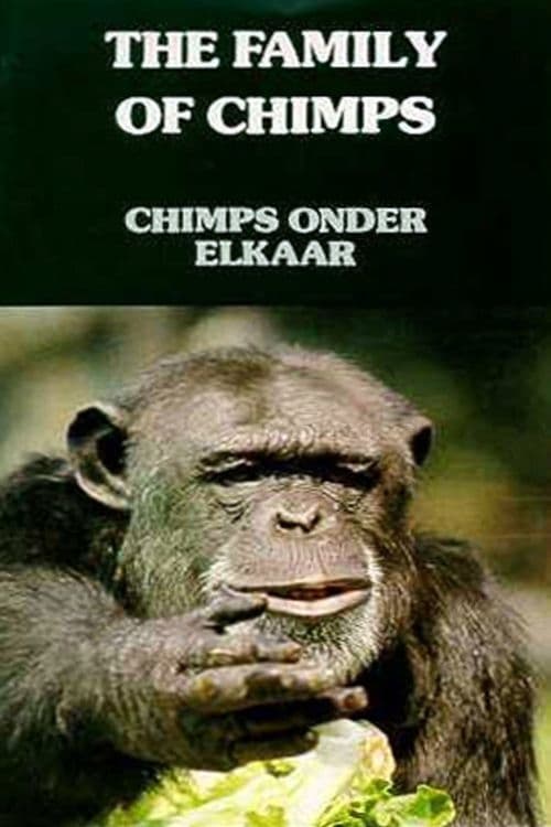 Chimps Onder Elkaar | Chimps Onder Elkaar