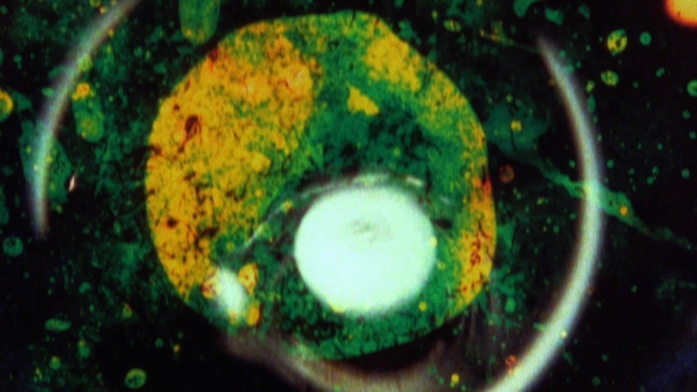 By Brakhage: An Anthology, Volume One|By Brakhage: An Anthology, Volume One