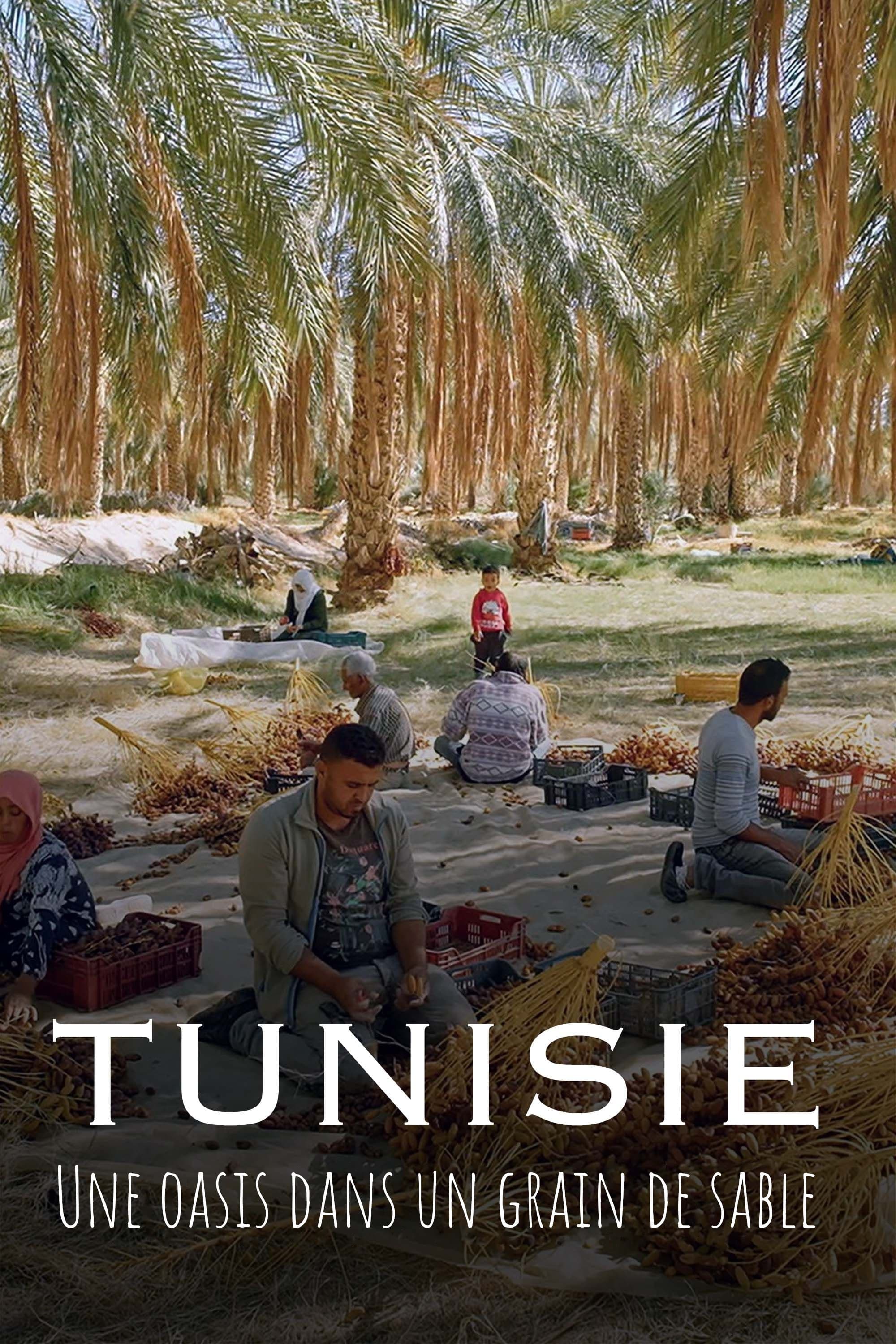 Tunisie : Une oasis dans un grain de sable | Tunisie : Une oasis dans un grain de sable