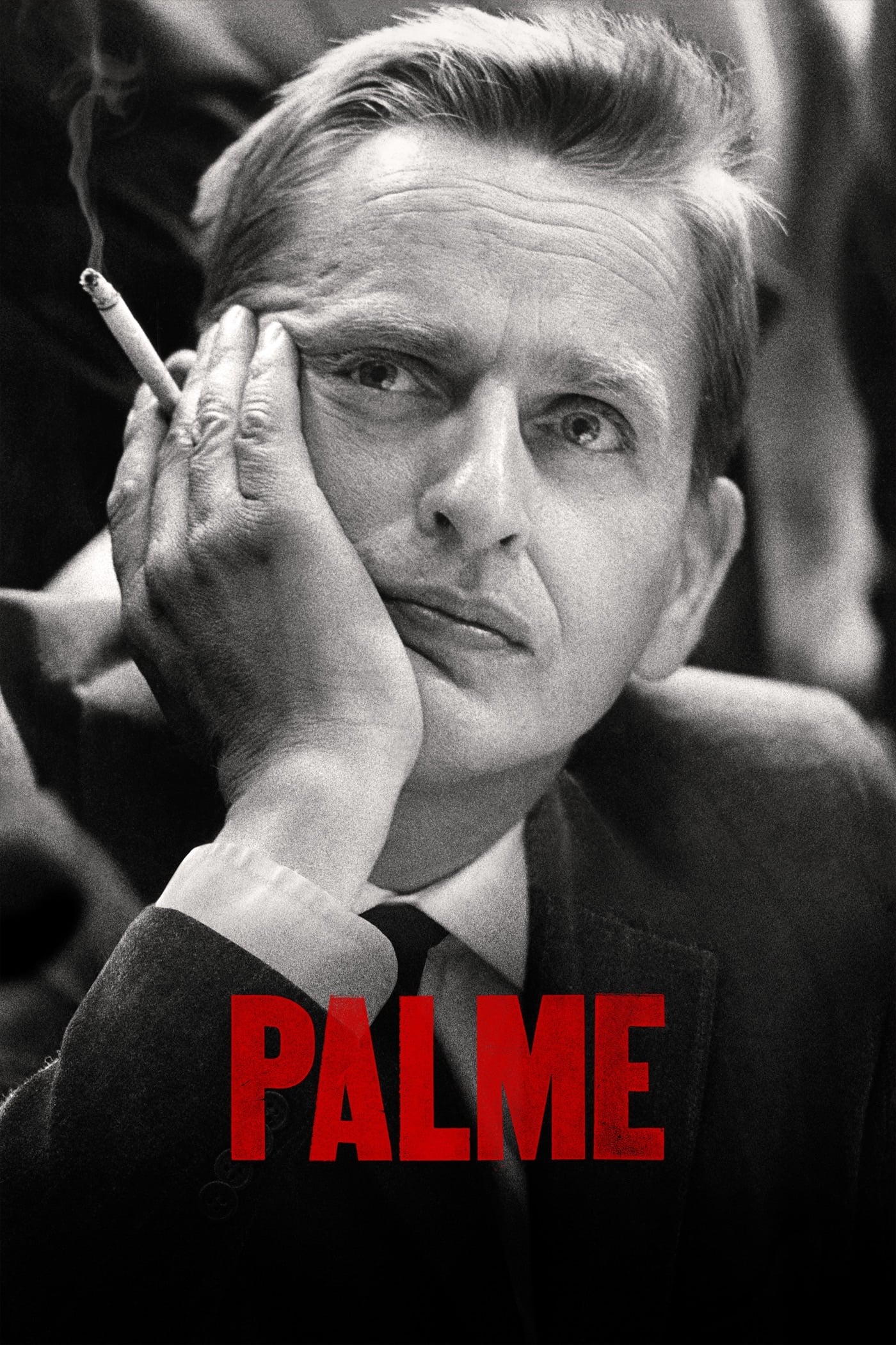 Palme | Palme