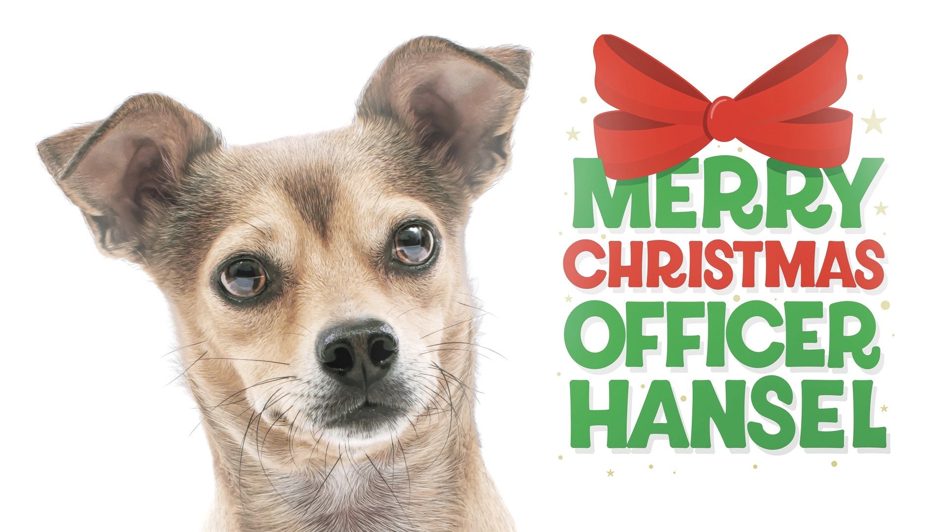 Merry Christmas Officer Hansel|Merry Christmas Officer Hansel