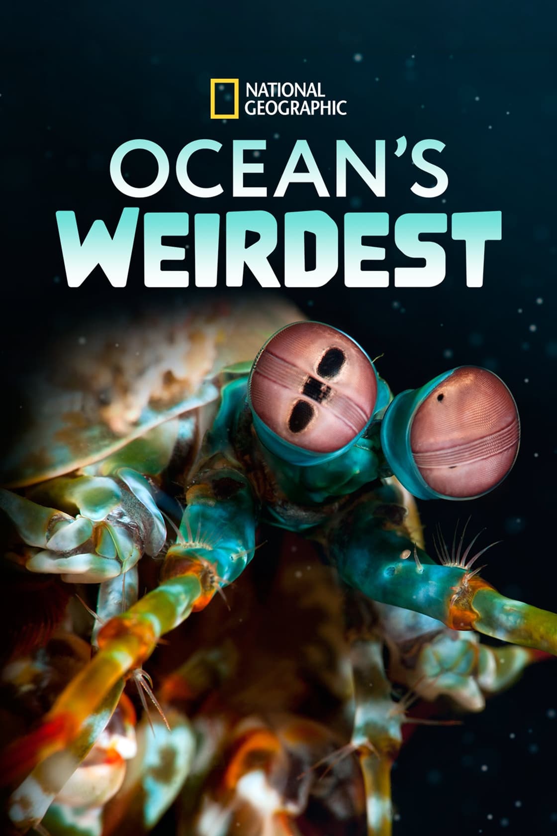 Ocean's Weirdest | Ocean's Weirdest