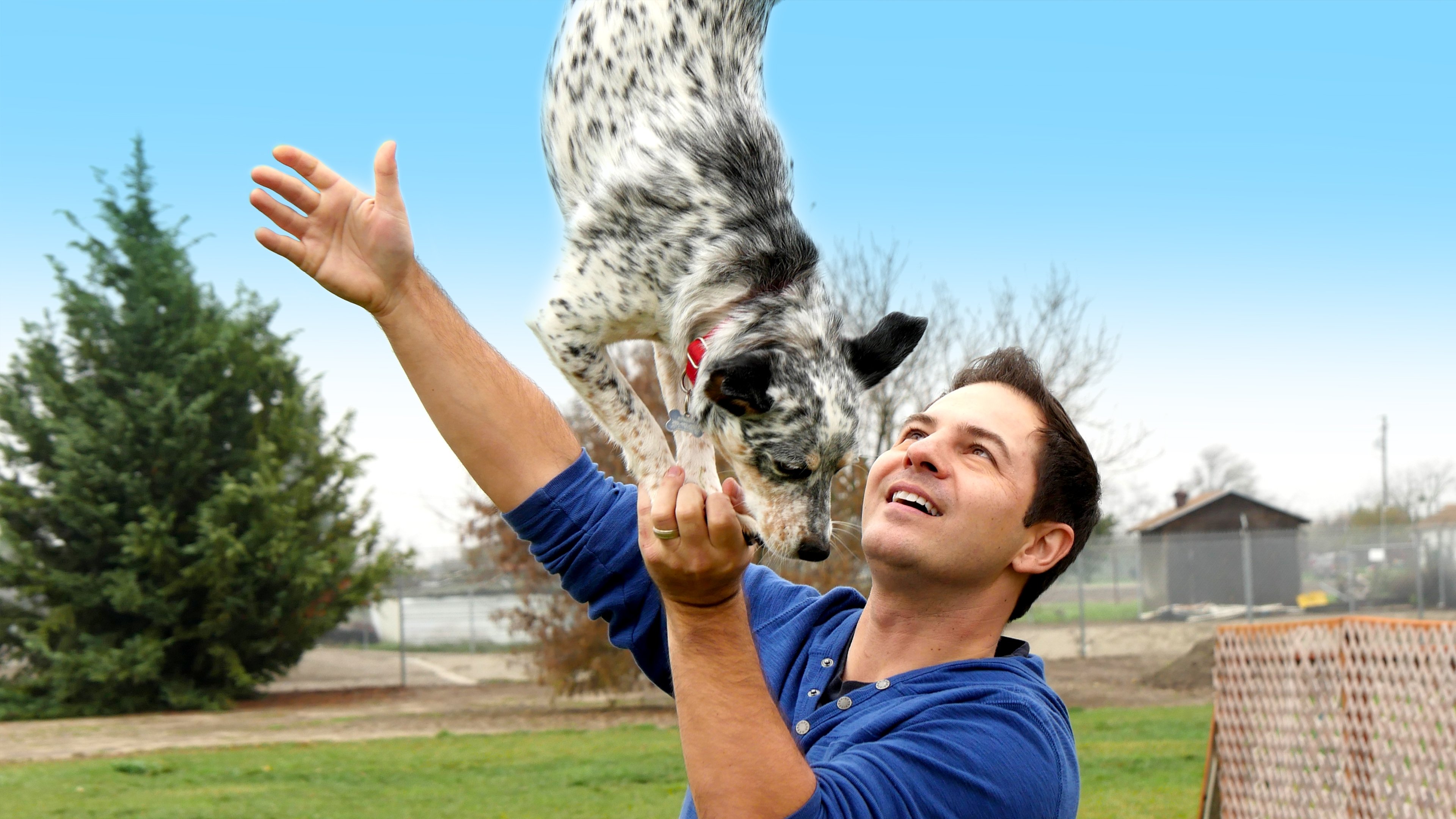 World's Greatest Dogs|World's Greatest Dogs