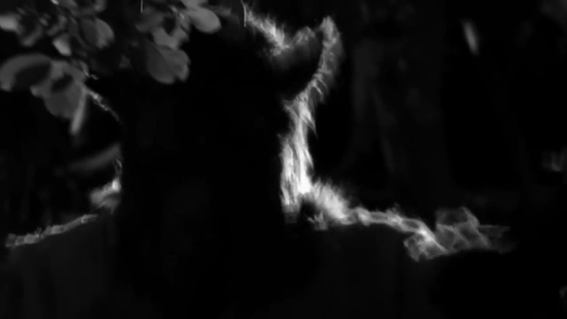 تصویر 0