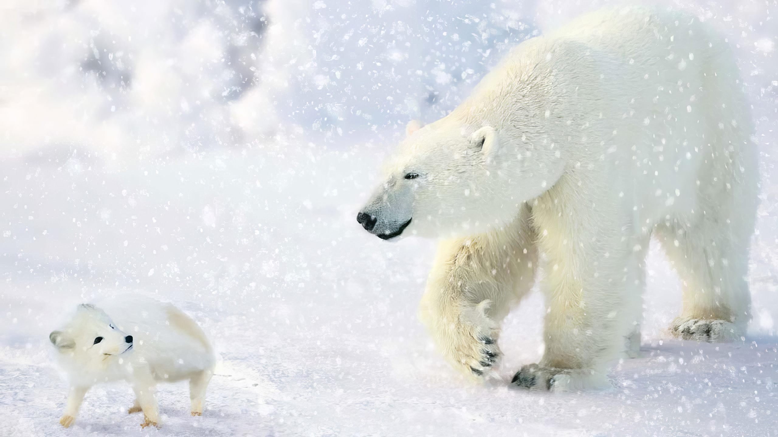 The Great Polar Bear Adventure|The Great Polar Bear Adventure