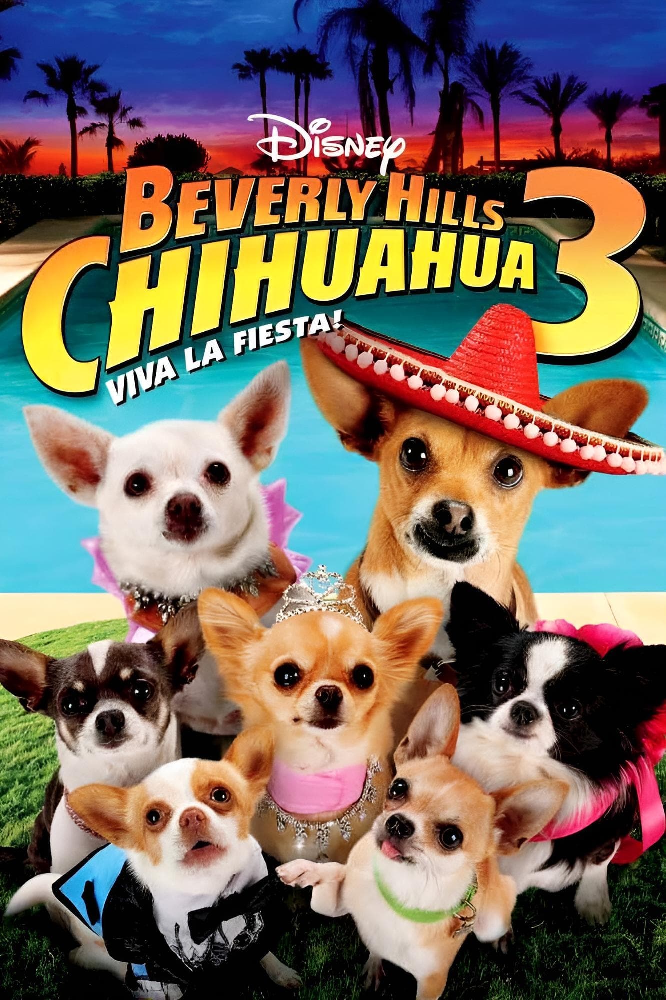 Beverly Hills Chihuahua 3 | Beverly Hills Chihuahua 3