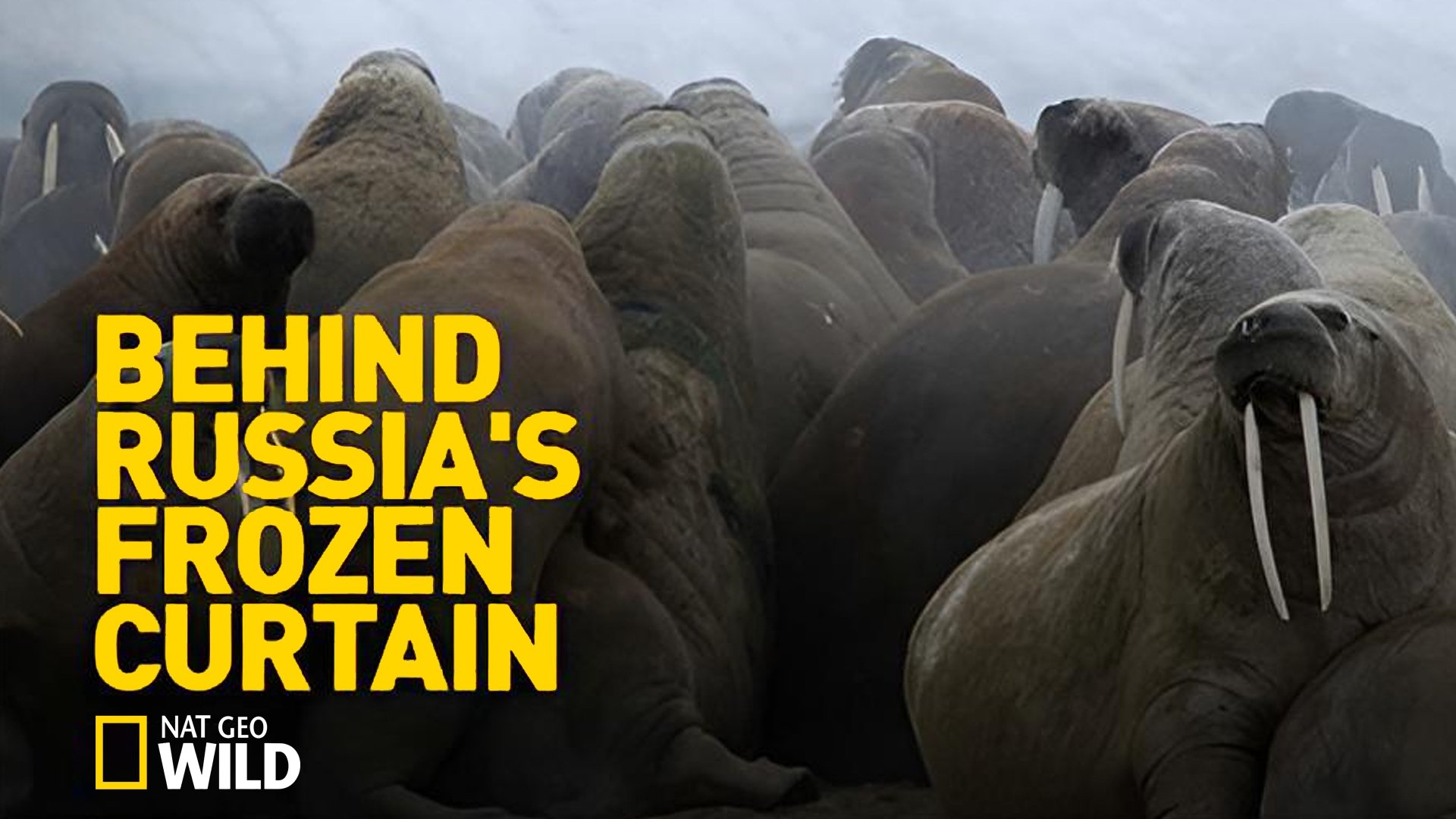 Behind Russia's Frozen Curtain|Behind Russia's Frozen Curtain