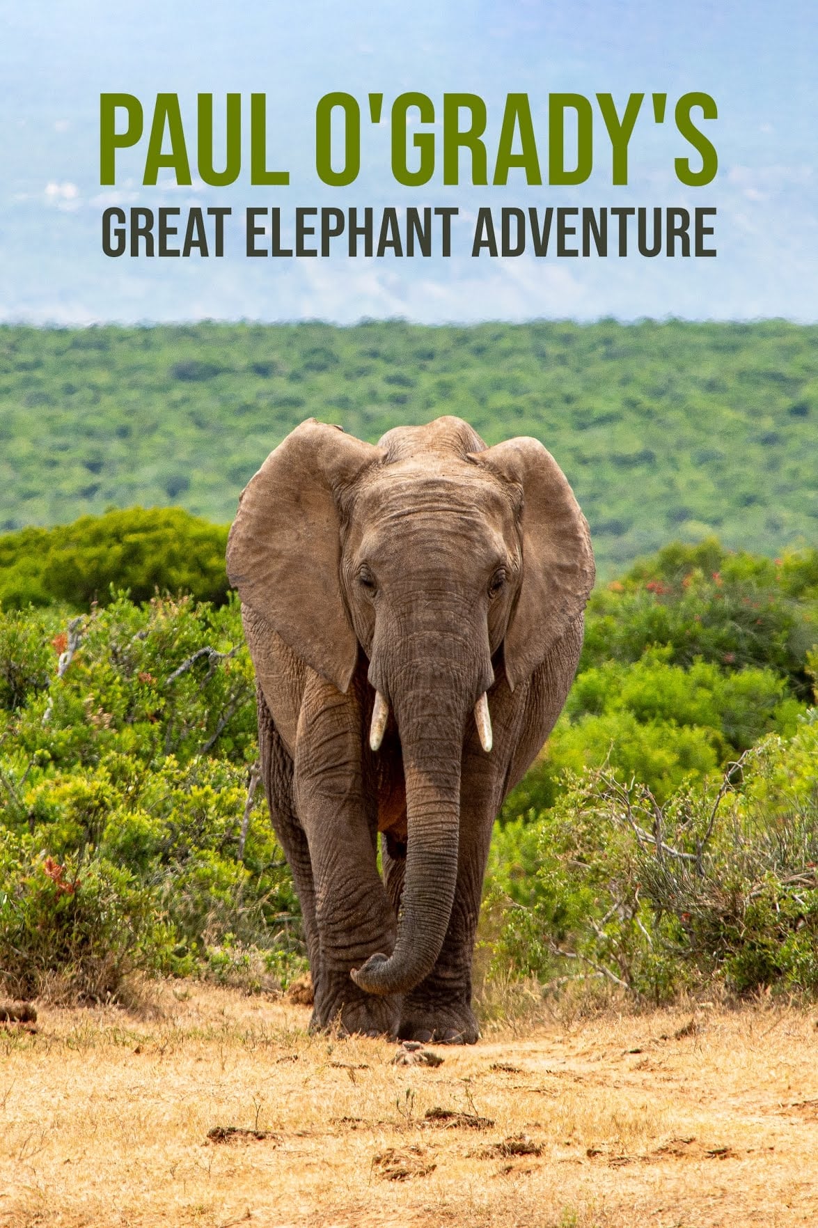 Paul O'Grady's Great Elephant Adventure | Paul O'Grady's Great Elephant Adventure