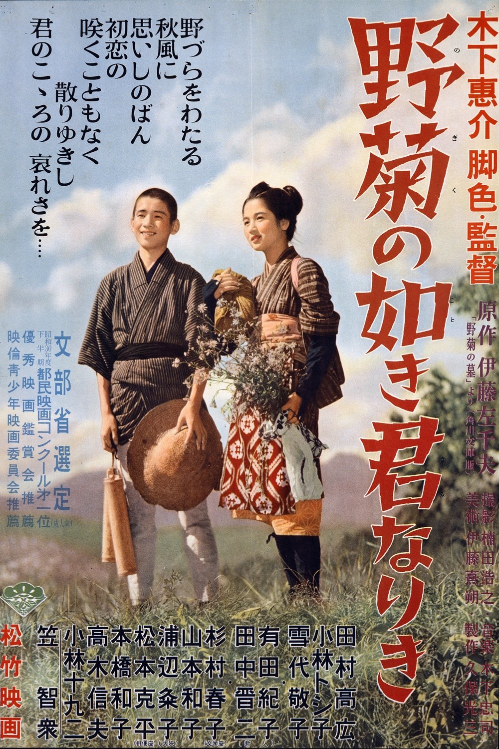 野菊の如き君なりき | 野菊の如き君なりき