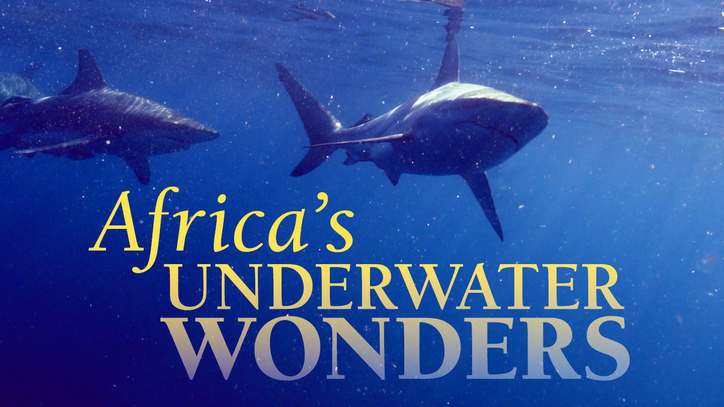 Africa's Underwater Wonders|Africa's Underwater Wonders