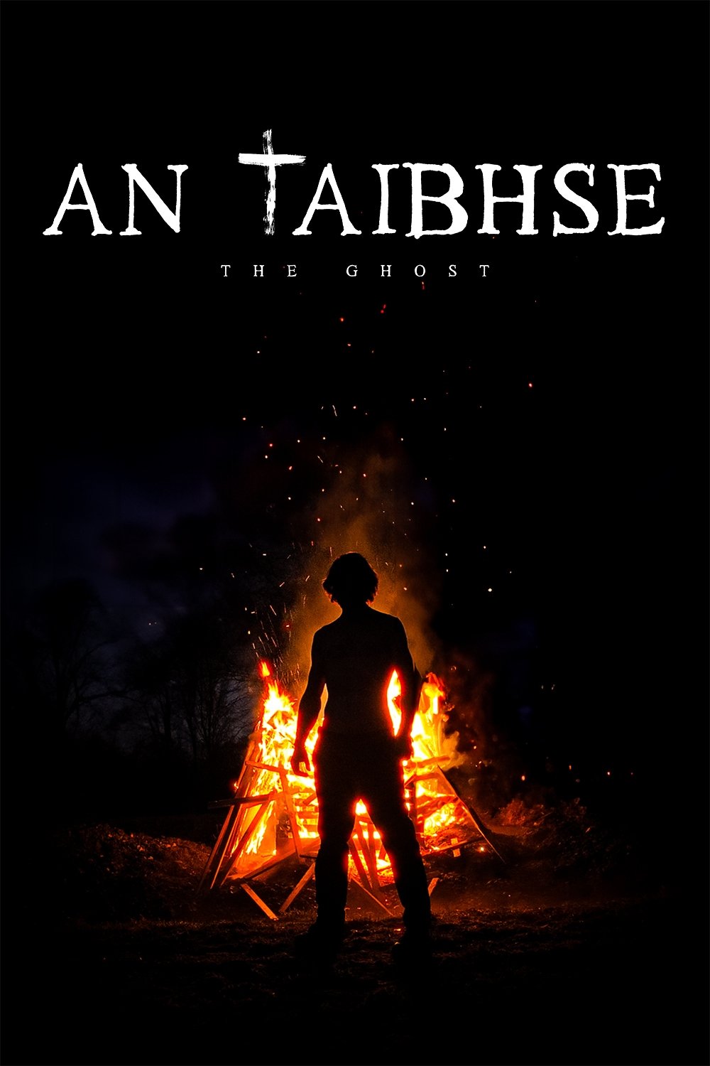 An Taibhse